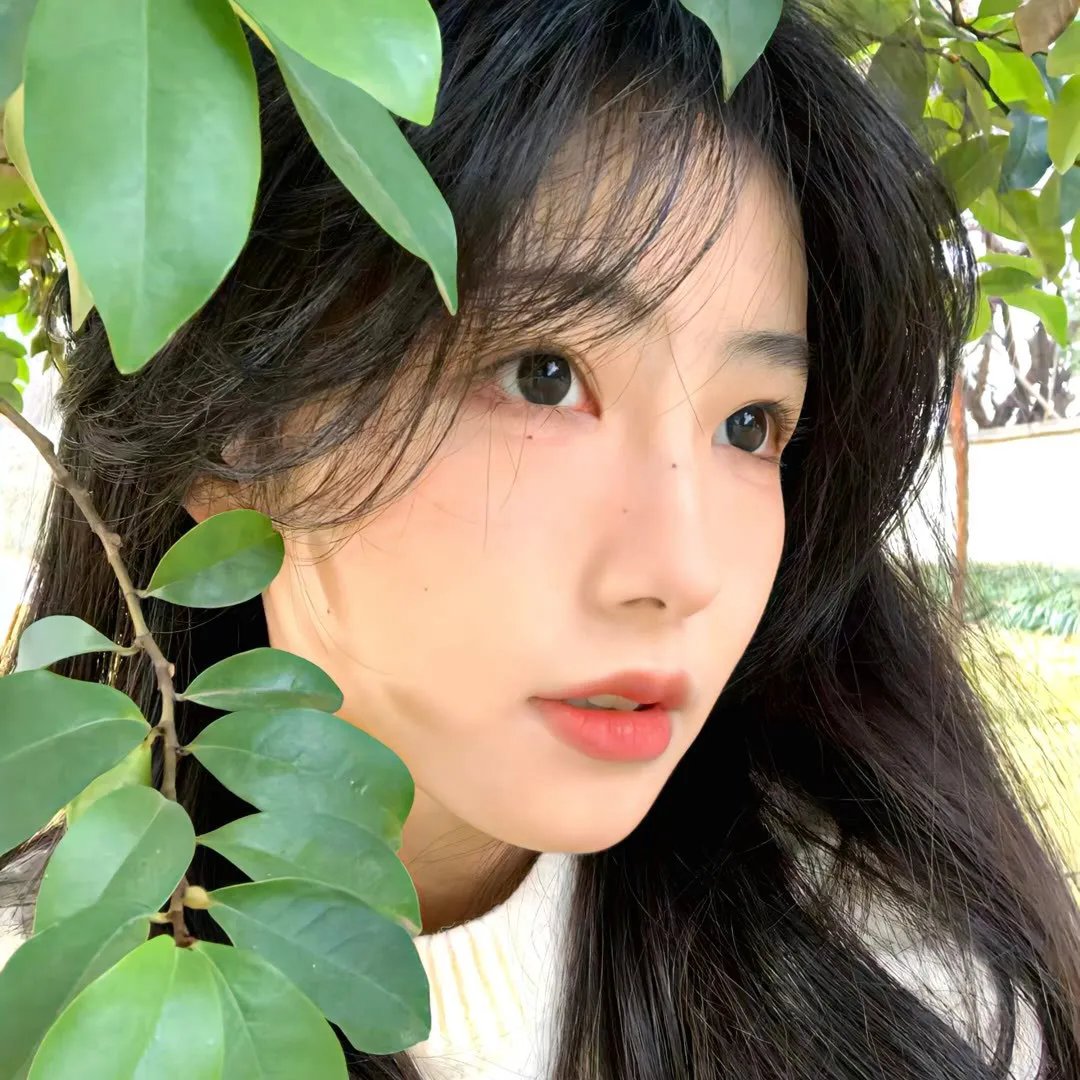 太太的保镳